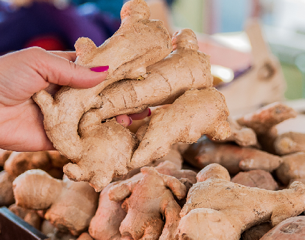 Dry Ginger Export Grade