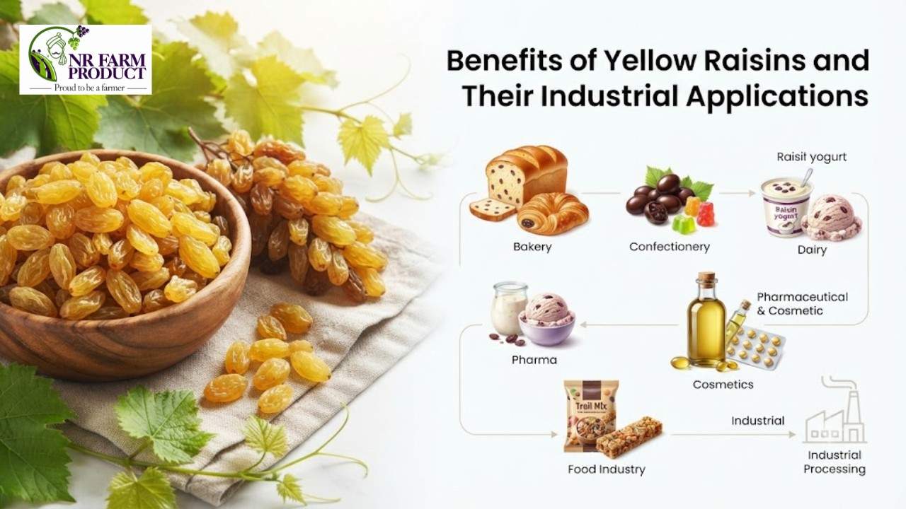 Benefits of Yellow Raisins and Their Industrial Applications