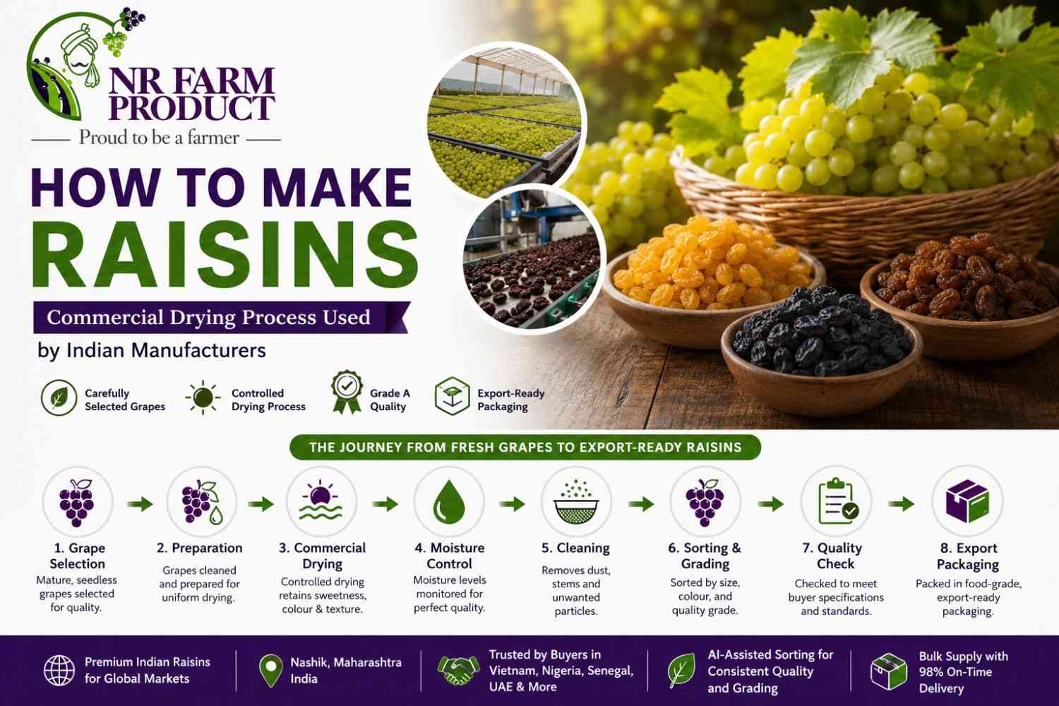 How to Make Raisins: Commercial Drying Process Used by Indian Manufacturers