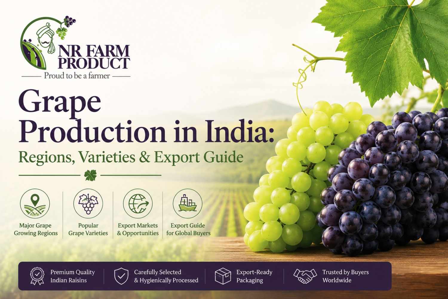 Grape Production in India: Regions, Varieties & Export Guide
