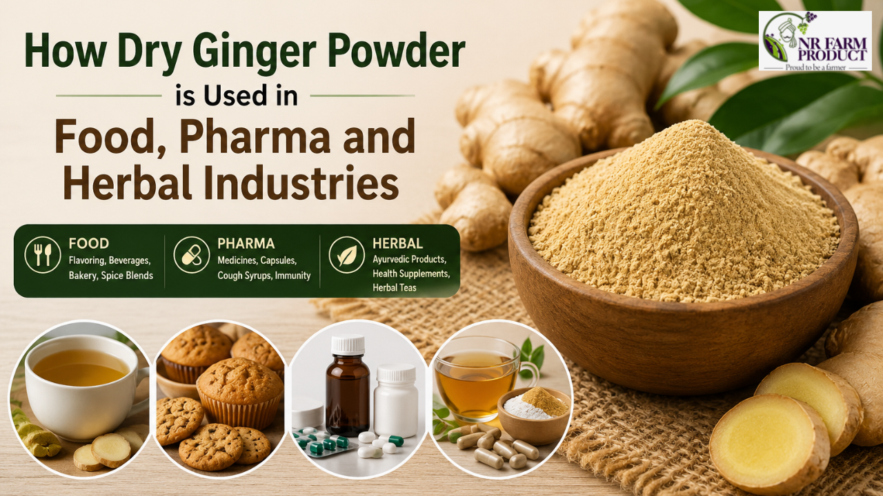 How Dry Ginger Powder is Used in Food, Pharma and Herbal Industries 