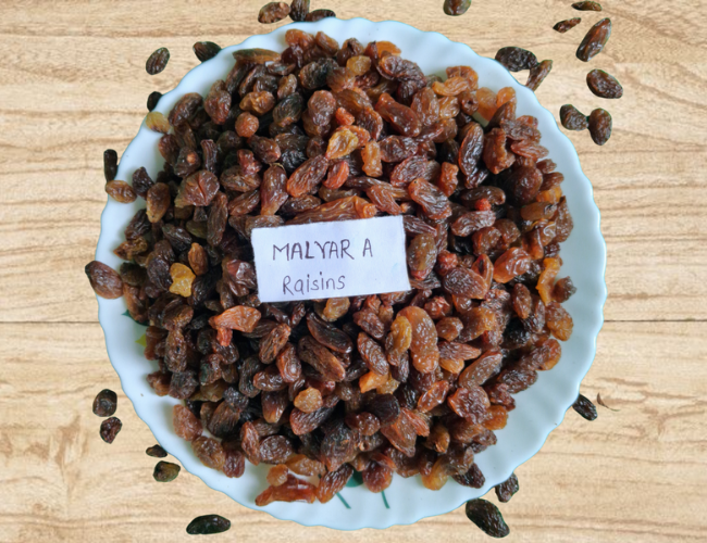 Malayar  A Raisins