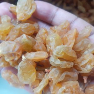 nashik golden raisins | nashik golden raisins manufacturer | nr farm product